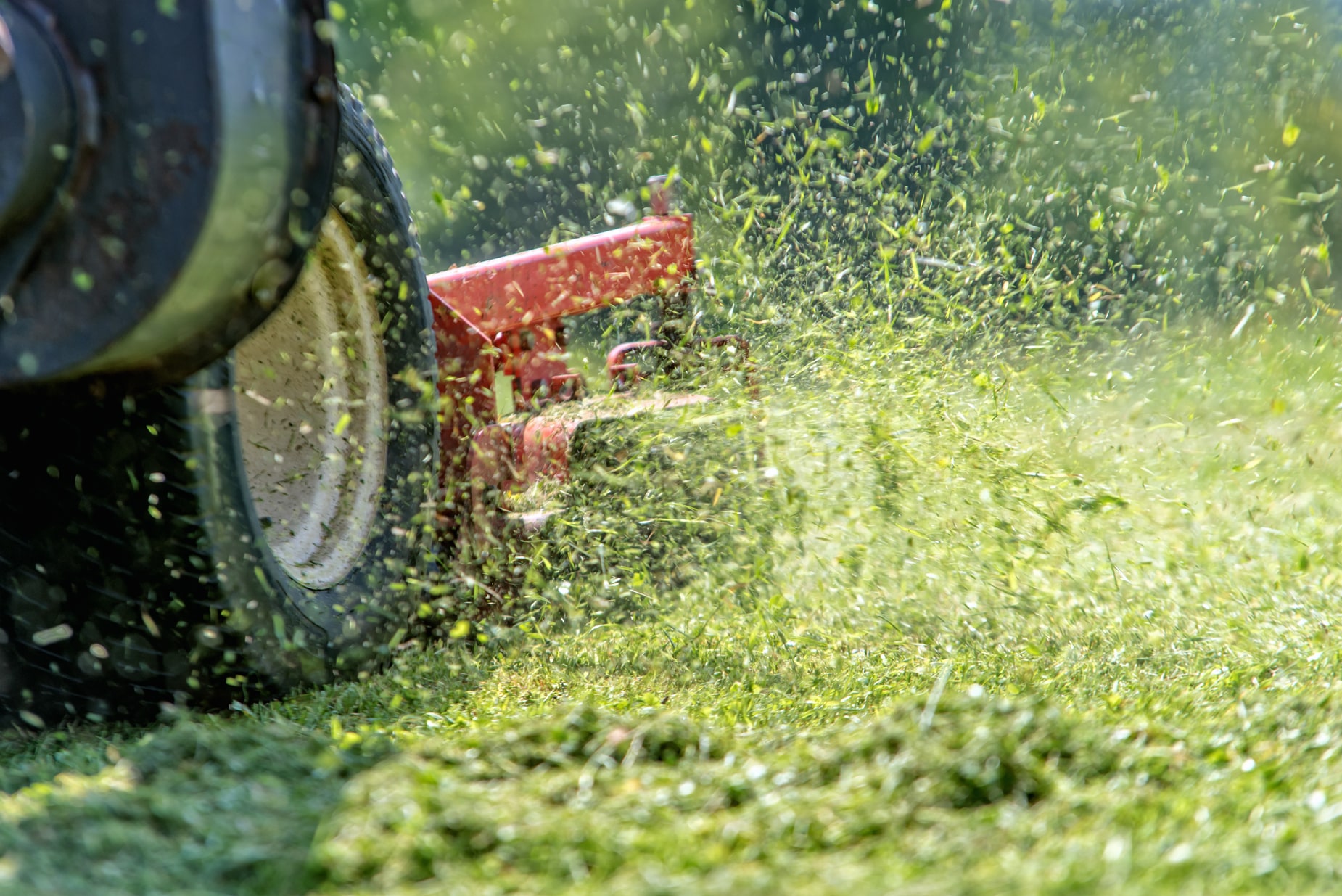 commerical grass cutting Wimbledon grounds maintenance company