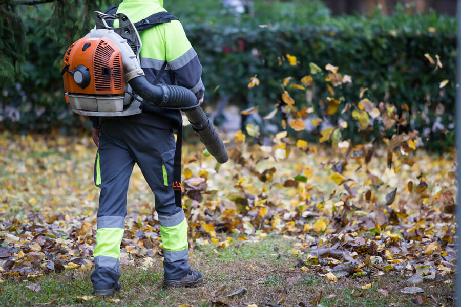 Grounds maintenance in Surrey from GCS