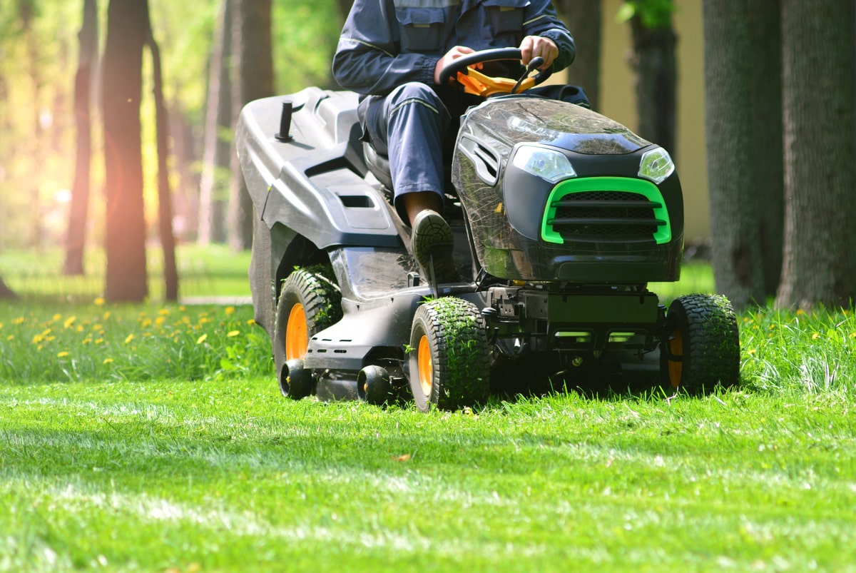 Croydon grounds maintenance company