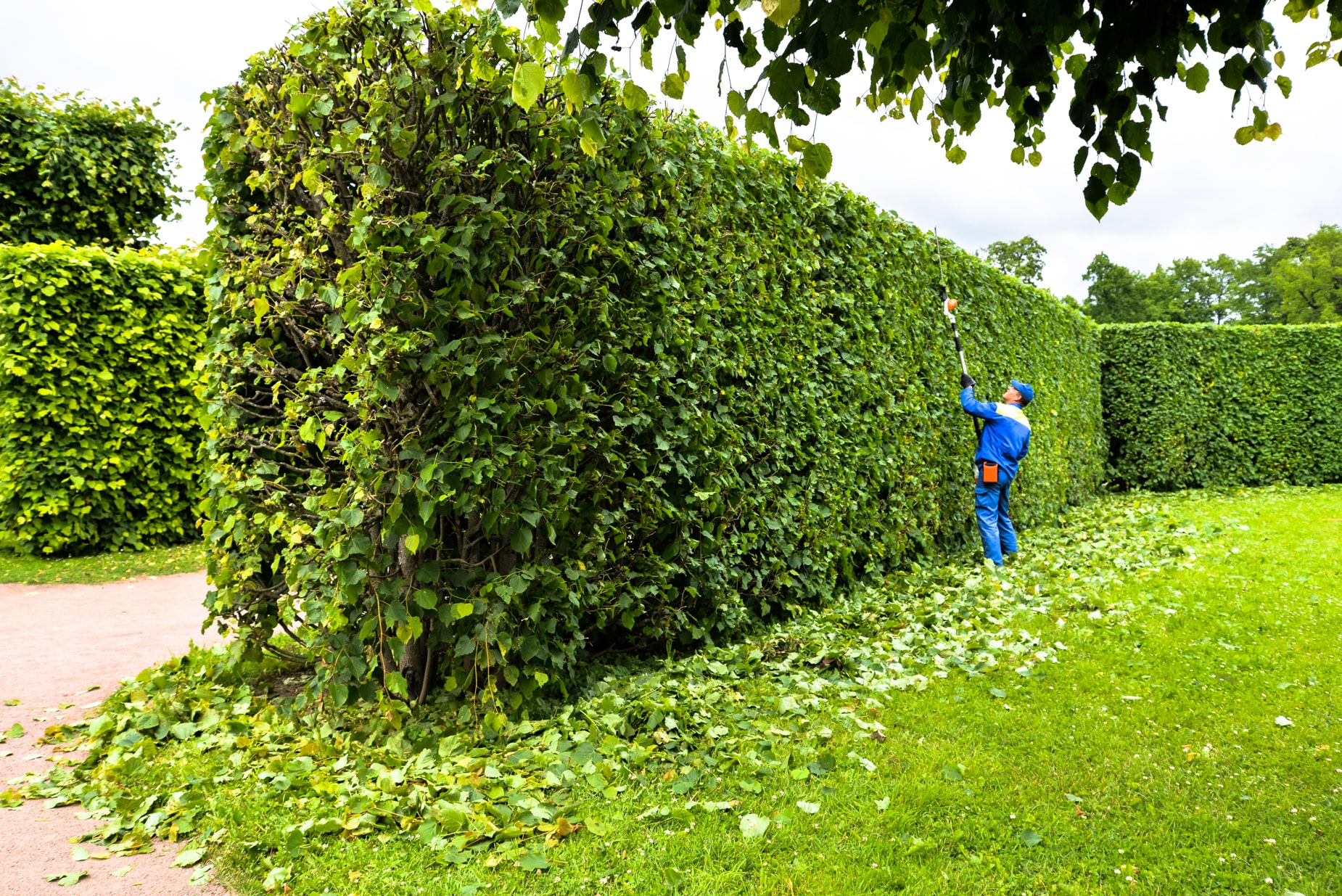 Commercial landscaping Croydon