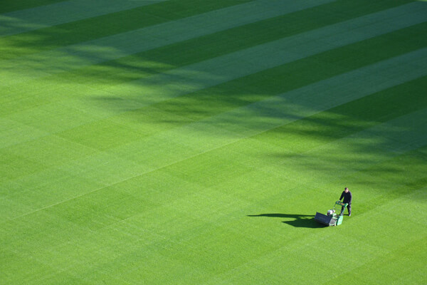 Lawn Maintenance & Mowing - GCS Facilities Management in Surrey